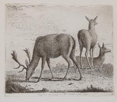 Bild Nr.47: 142-4240 Tischbein, Johann Heinrich: (Künstlergraphik)