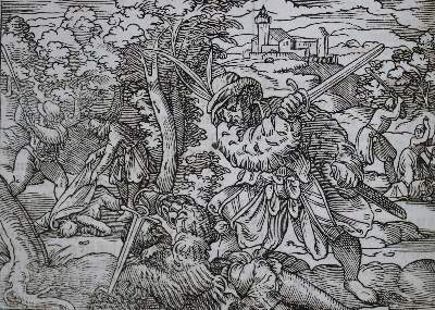 Bild Nr.2: 142-517 Damhouder,J.: (Juridica und Kriminologie)
