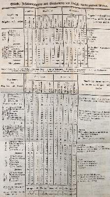 Bild Nr.2: 142-561 Geist der Zeit.: (Jus der Bibliothek v. Prof. Thomas Würtenberger, Deutschland)