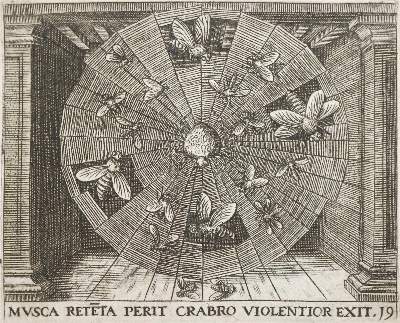 Bild Nr.3: 142-67 Bry,T.de.: (Alte Drucke, Handschriften und Theologie)