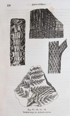 Bild Nr.173: 142-775 Rückgänge aus: (Konvolut)