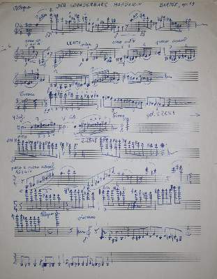 Bild Nr.2: 142-885 Schreinzer,K.: (Musik)