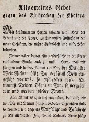 Bild Nr.2: 142-920 Rückgänge.: (Varia)