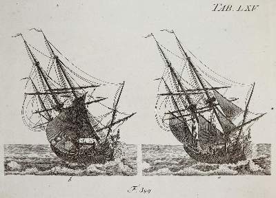 Bild Nr.3: 142-930 Röding,J.H.: (Seewesen)