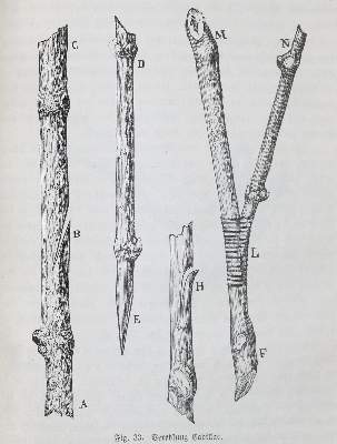 Bild Nr.1: 142-973 Sahut,F.: (Küche und Haushalt, Getränke, Wein und Weinbau)