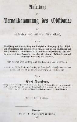 Bild Nr.1: 142-996 Borchers,C.: (Land- und Forstwirtschaft, Obstbau)