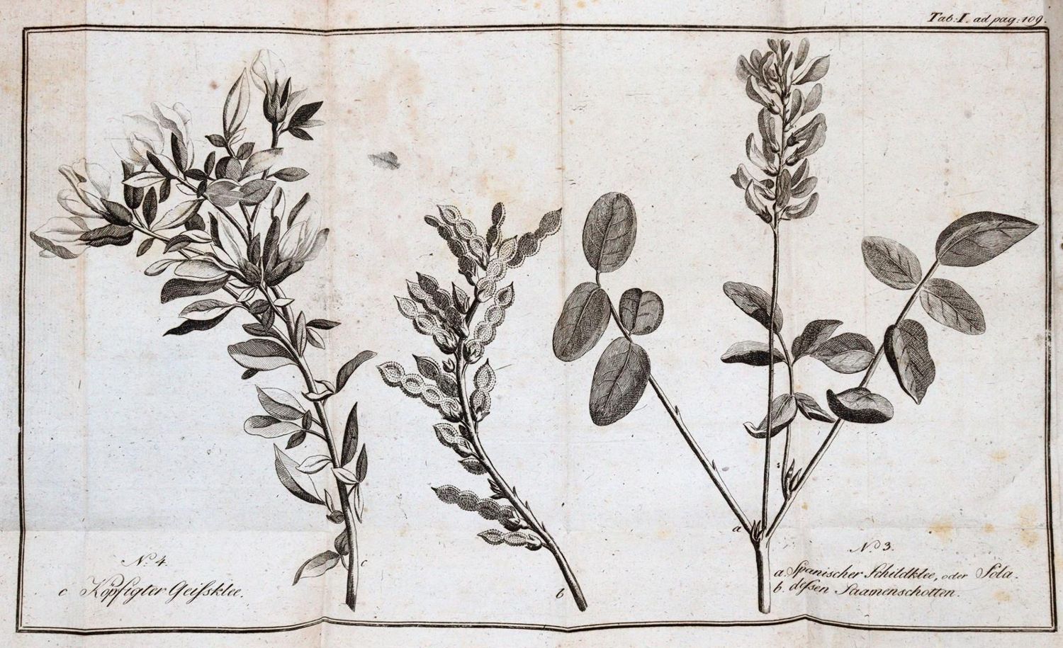 Große Abbildung Nr.4: 143-1004 Fuß,F.: (Land- und Forstwirtschaft, Landwirtschaft)