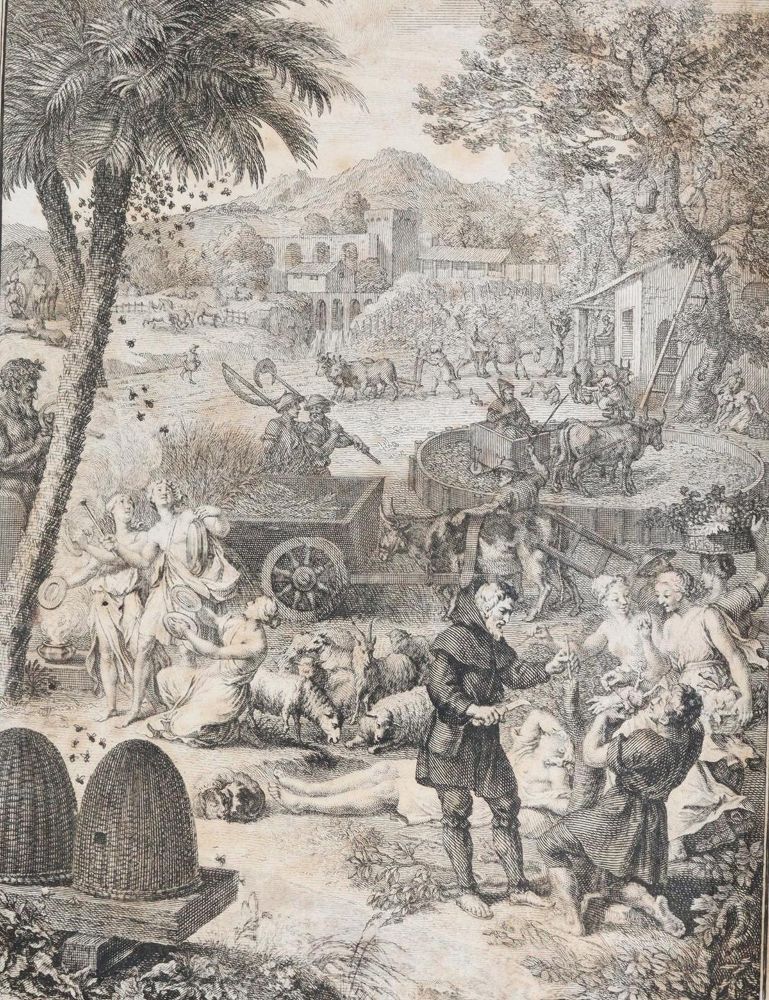 Große Abbildung Nr.2: 143-1005 Gesner,J.M.: (Land- und Forstwirtschaft, Landwirtschaft)