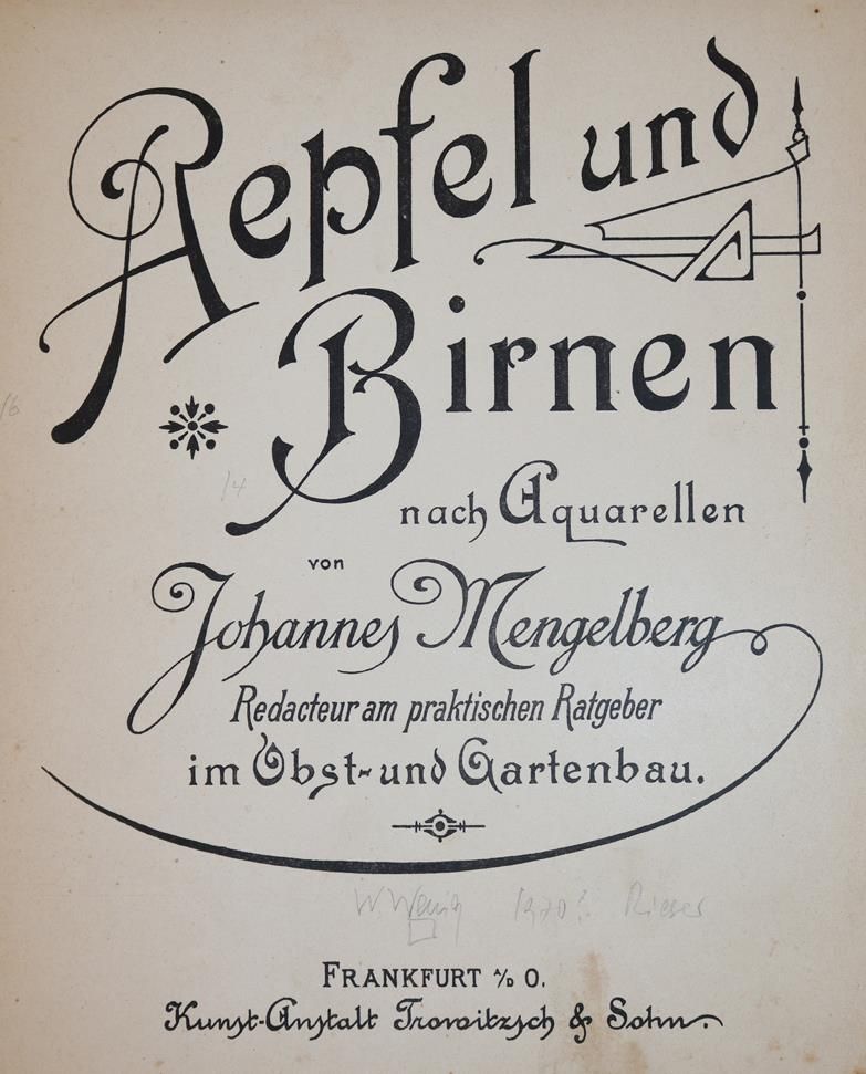 Große Abbildung Nr.1: 143-1015 Mengelberg,J.: (Land- und Forstwirtschaft, Pomologie)