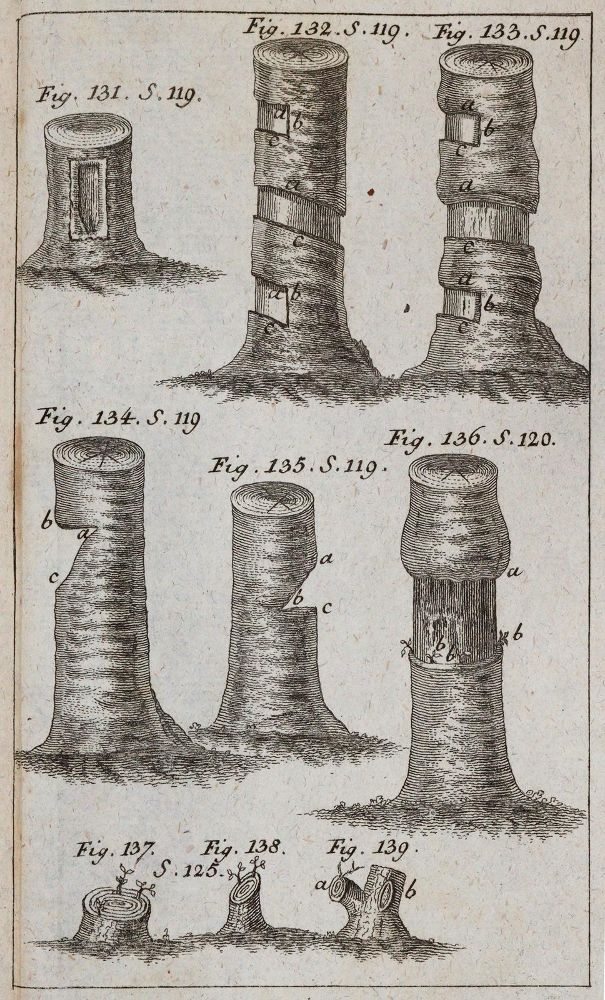 Große Abbildung Nr.4: 143-1019 Krünitz,J.G.: (Land- und Forstwirtschaft, Tierhaltung, Imkerei)