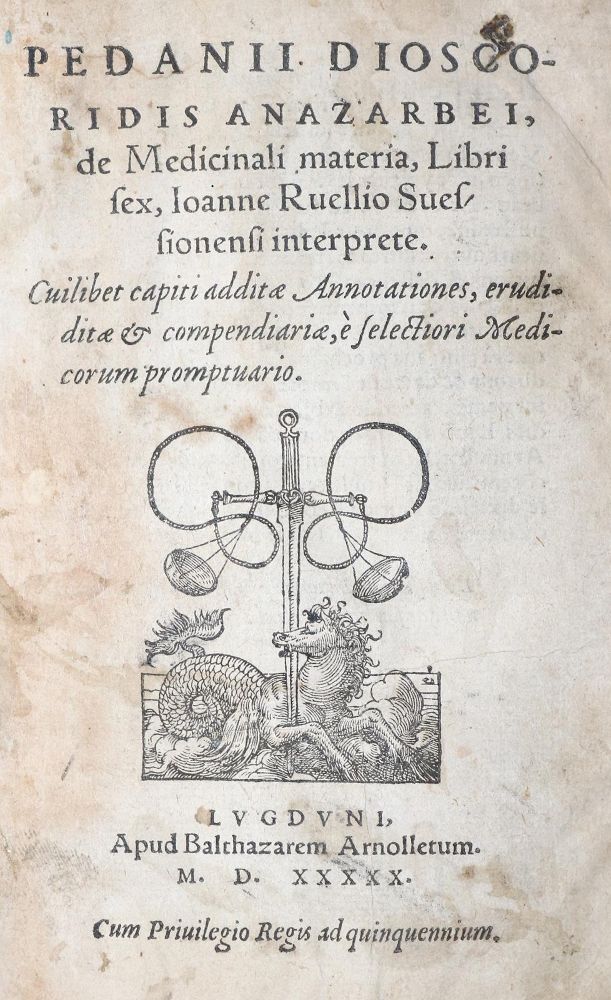 Große Abbildung Nr.4: 143-102 Dioscorides,P.: (Alte Drucke, Handschriften und Theologie)