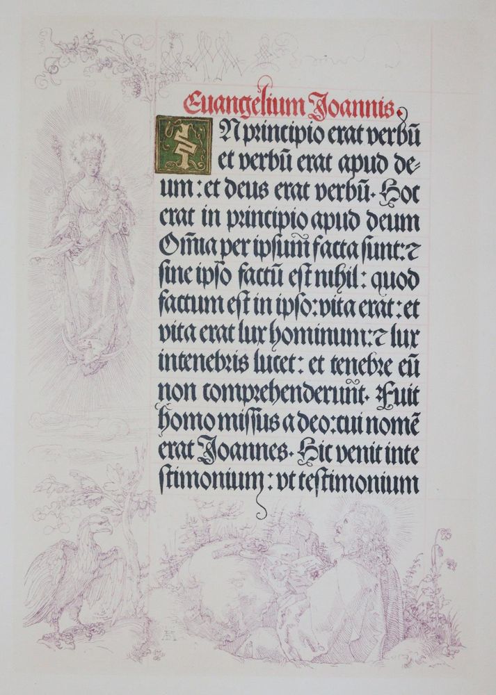 Große Abbildung Nr.3: 143-1023 Albrecht Dürers: (Kunstwissenschaft)