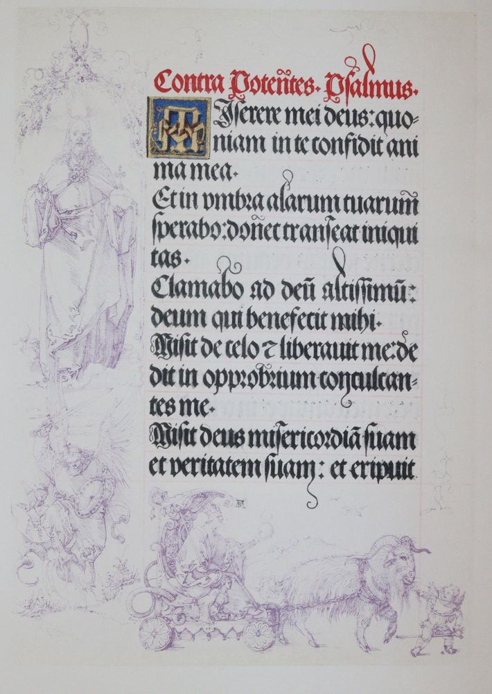 Große Abbildung Nr.4: 143-1023 Albrecht Dürers: (Kunstwissenschaft)