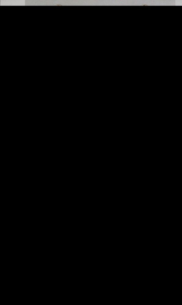 Große Abbildung Nr.1: 143-1066 Theodor Fahrner.: (Fahrner)