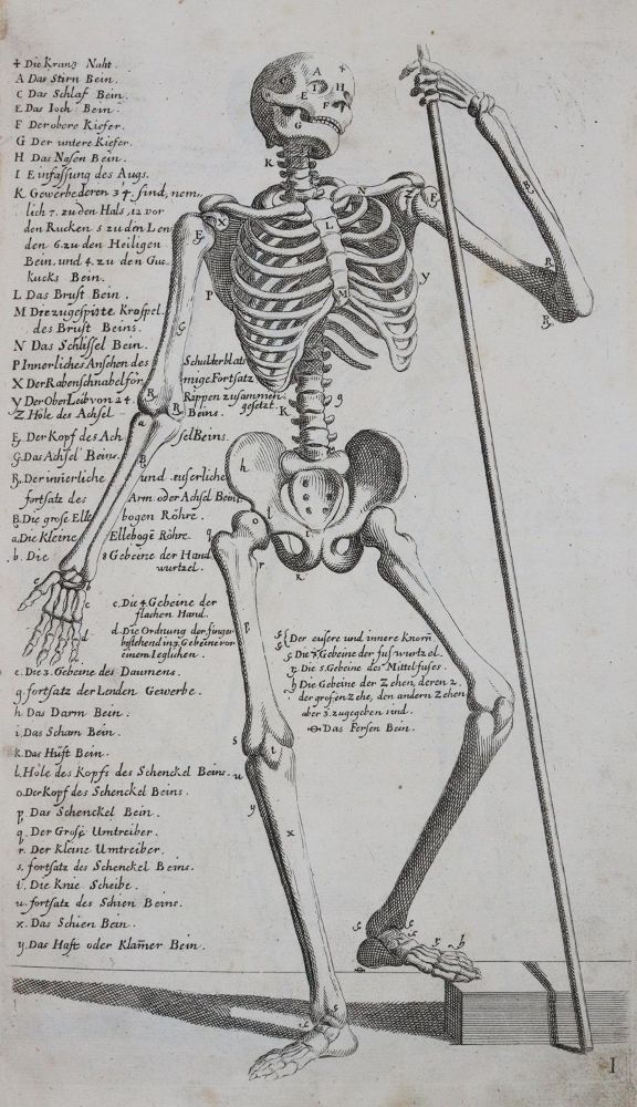 Große Abbildung Nr.8: 143-1097 Preißler,J.D.: (Kunstwissenschaft)
