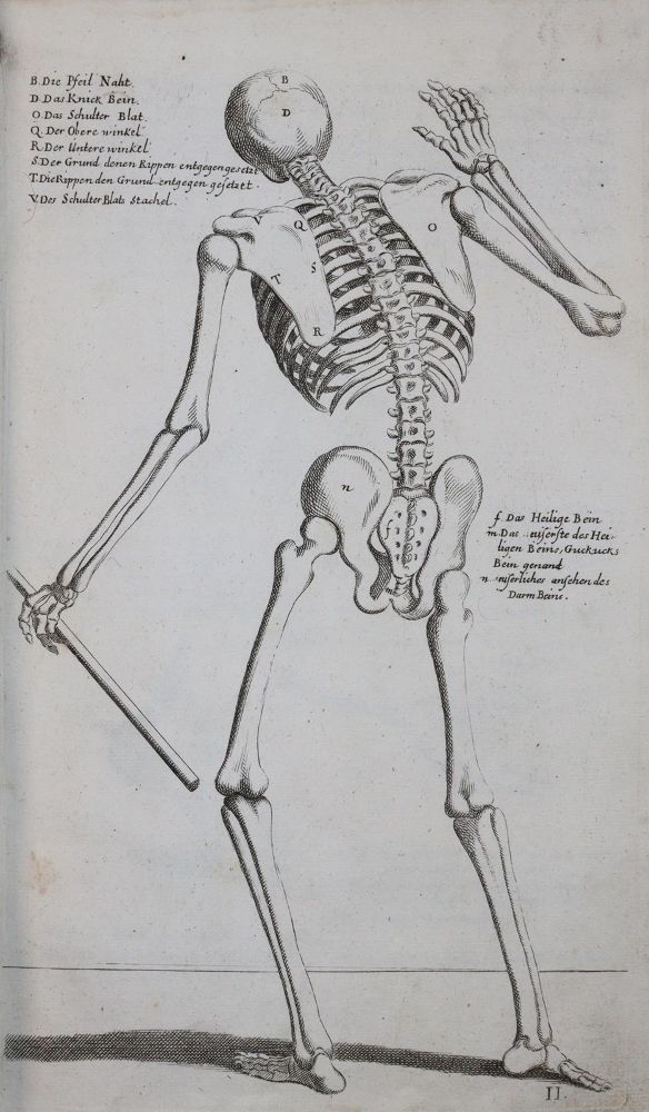 Große Abbildung Nr.9: 143-1097 Preißler,J.D.: (Kunstwissenschaft)