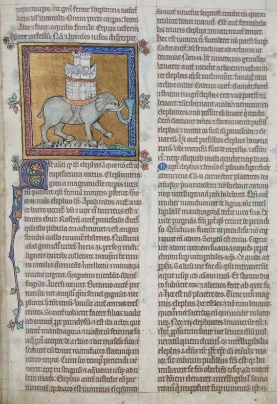 Große Abbildung Nr.1: 143-1132 Bestiario di Peterborough.: (Faksimile)