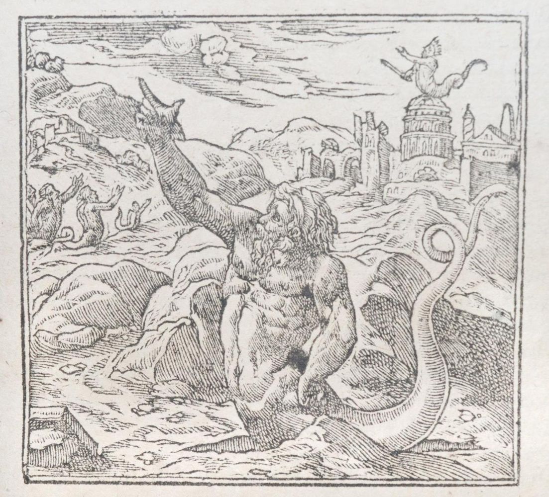 Große Abbildung Nr.2: 143-118 Alciati,A.: (Emblemata)