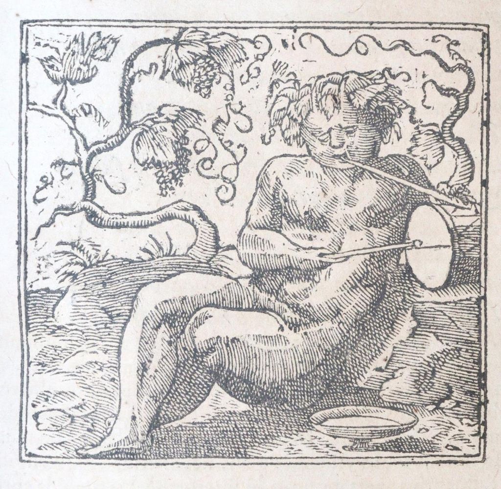 Große Abbildung Nr.4: 143-118 Alciati,A.: (Emblemata)