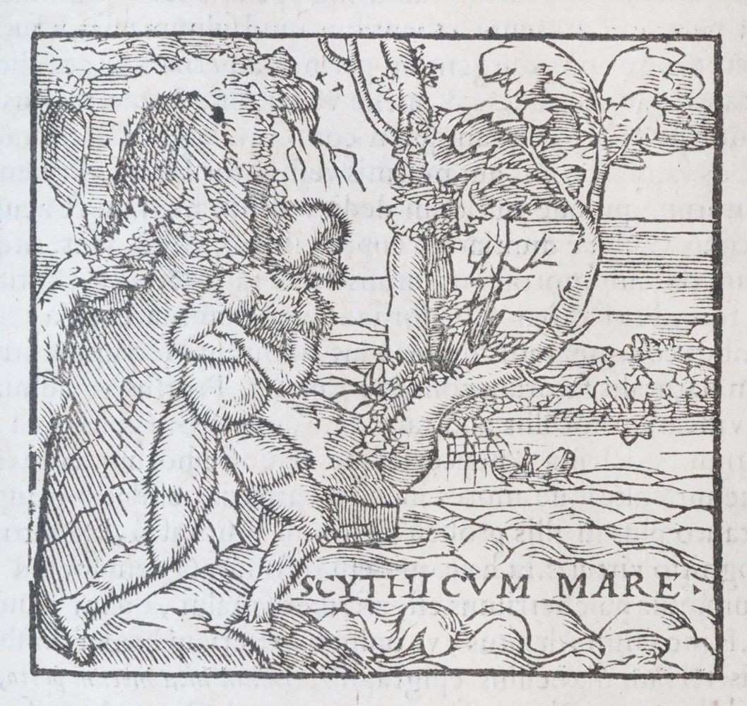 Große Abbildung Nr.5: 143-118 Alciati,A.: (Emblemata)