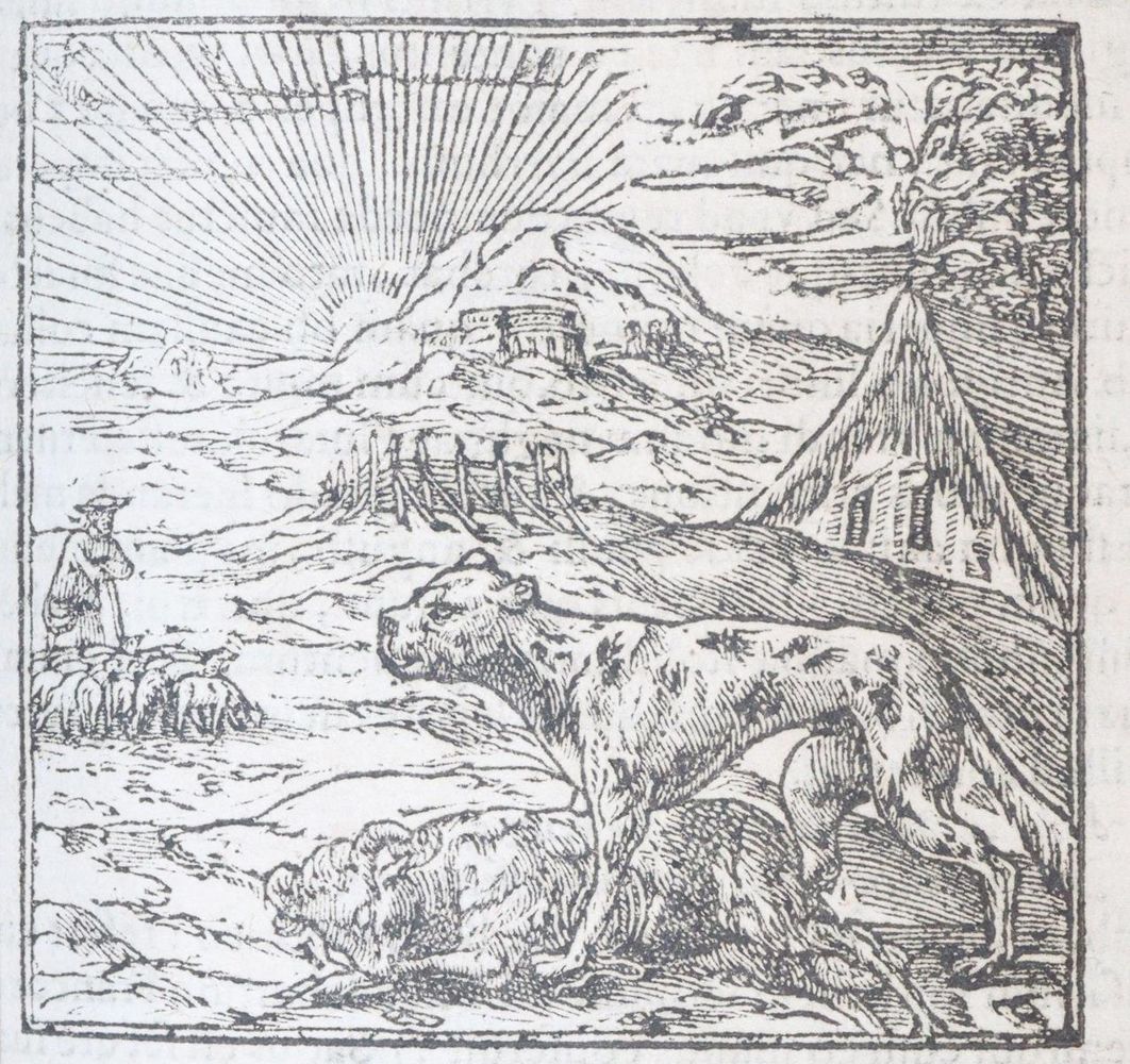 Große Abbildung Nr.6: 143-118 Alciati,A.: (Emblemata)