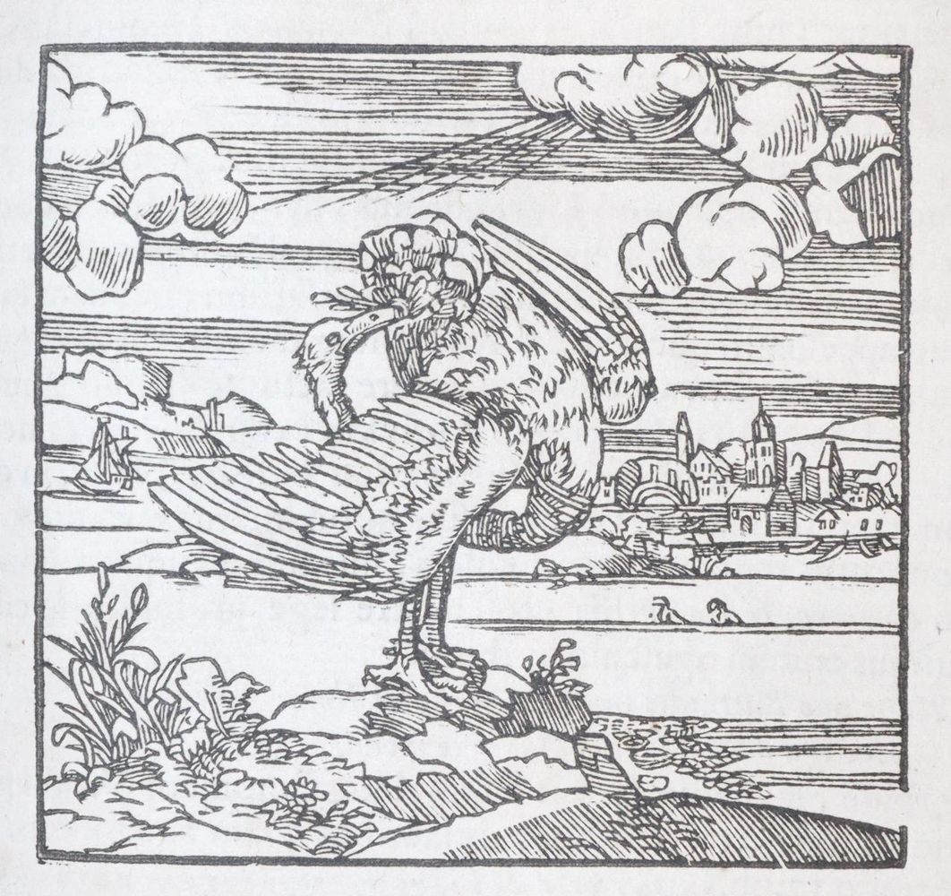 Große Abbildung Nr.7: 143-118 Alciati,A.: (Emblemata)