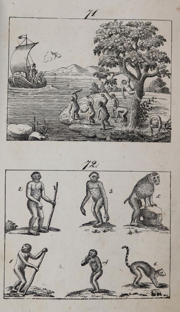 Große Abbildung Nr.3: 143-1261 Gailer,J.E.: (Kinder- und Jugendbücher)