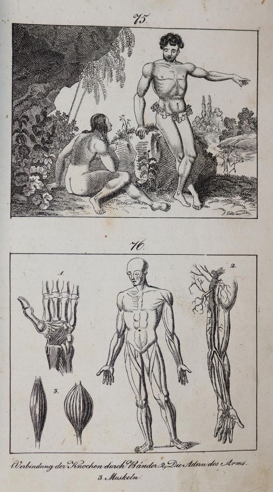 Große Abbildung Nr.4: 143-1261 Gailer,J.E.: (Kinder- und Jugendbücher)