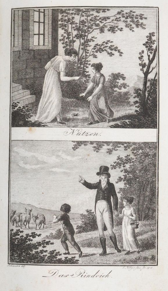 Große Abbildung Nr.2: 143-1263 Herrmann,F.(W.).: (Kinder- und Jugendbücher)