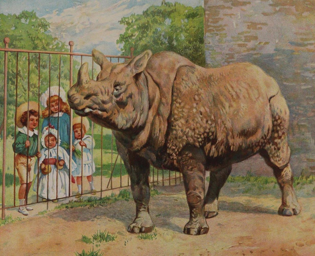 Große Abbildung Nr.3: 143-1272 (Maul,E.).: (Kinder- und Jugendbücher)