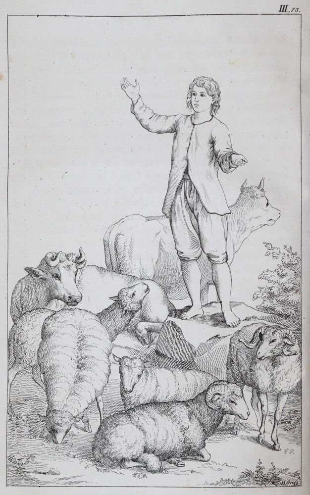 Große Abbildung Nr.5: 143-1274 Nieritz,G.: (Kinder- und Jugendbücher)