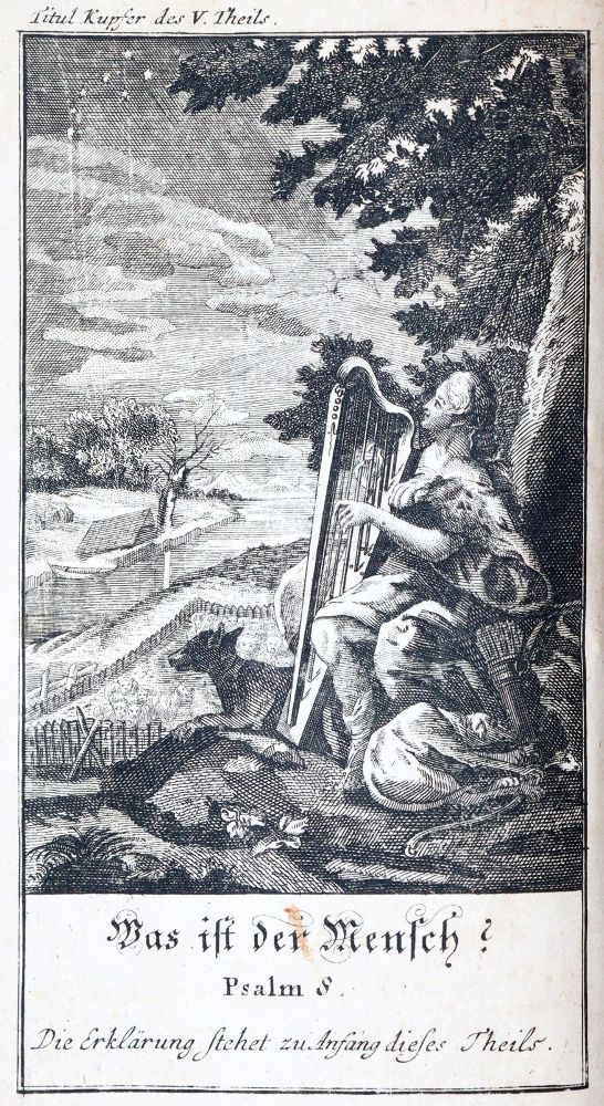 Große Abbildung Nr.2: 143-1280 (Pluche,N.A.).: (Kinder- und Jugendbücher)