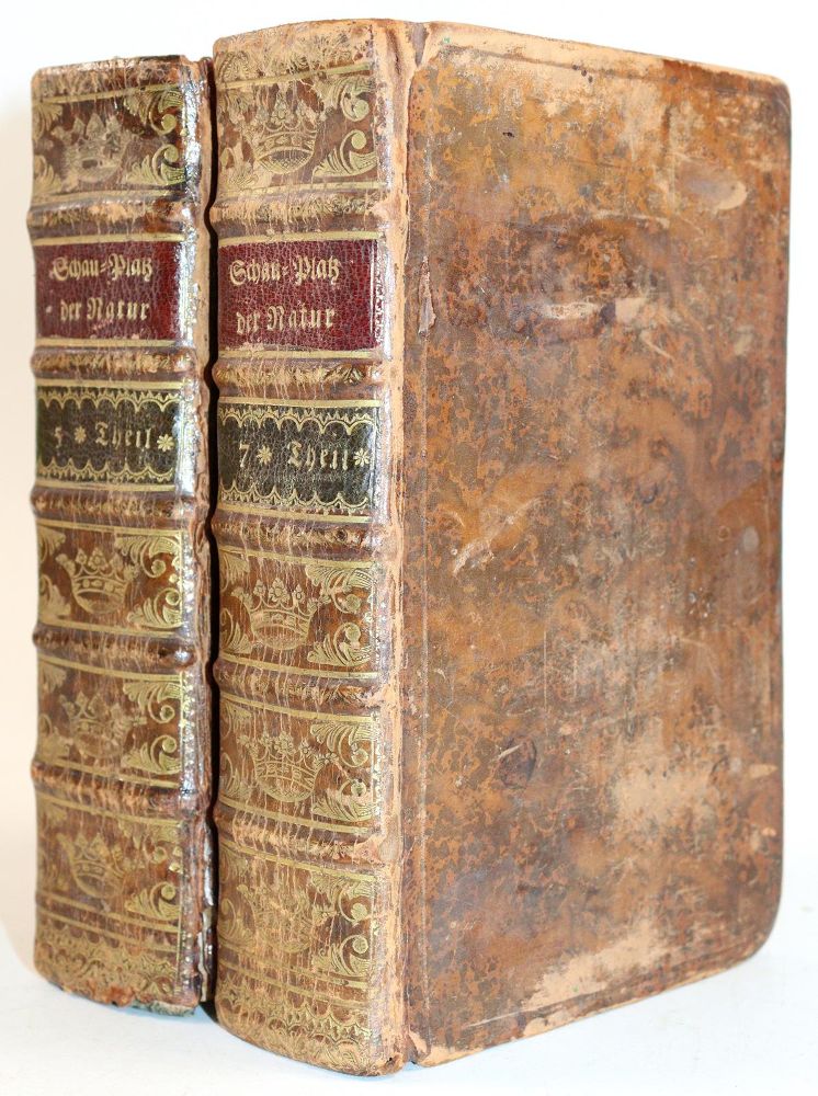Große Abbildung Nr.6: 143-1280 (Pluche,N.A.).: (Kinder- und Jugendbücher)