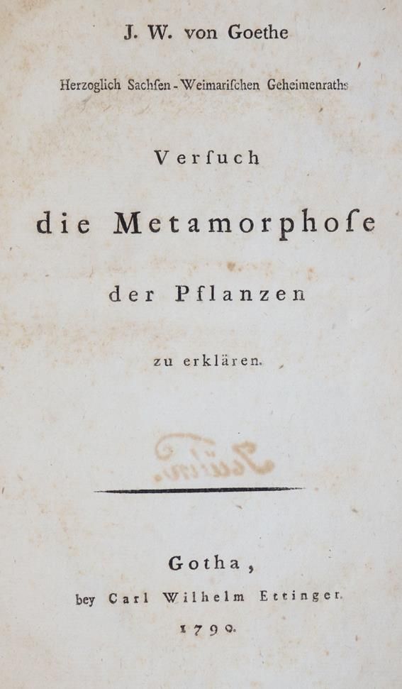 Große Abbildung Nr.1: 143-1382 Goethe,J.W.v.: (Literatur und illustrierte Bücher bis 19.Jahrhundert)