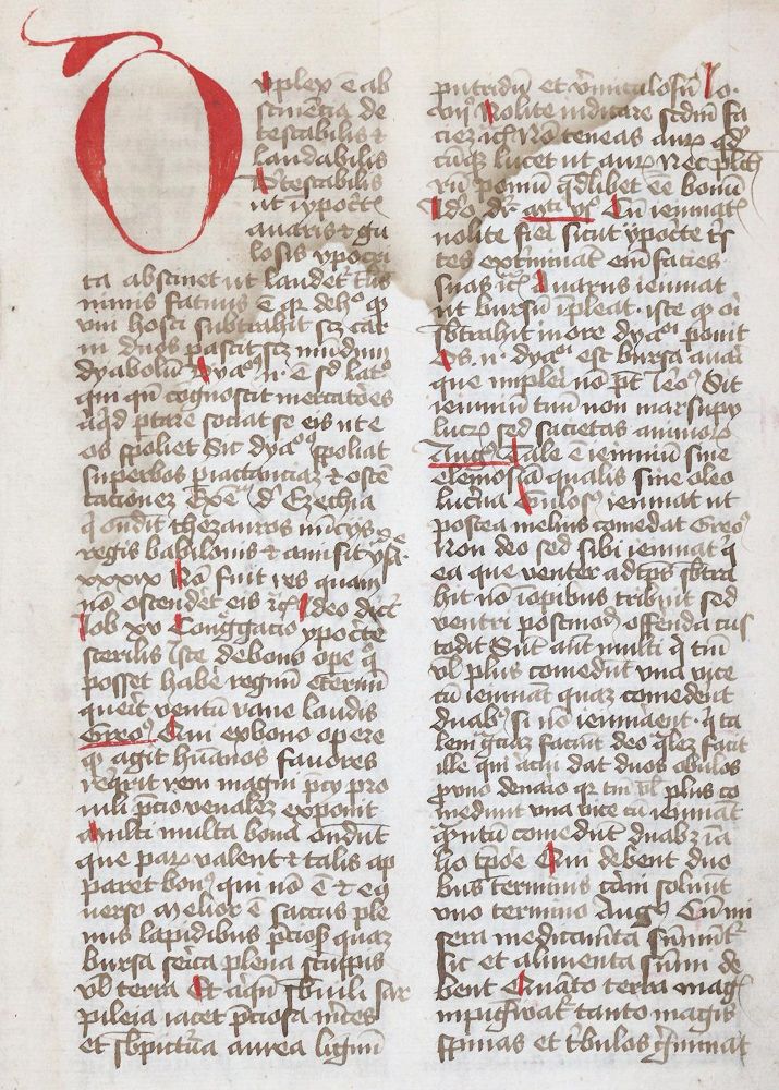 Große Abbildung Nr.1: 143-162 Ribelin von Straßburg, Hugo: (Handschriften)