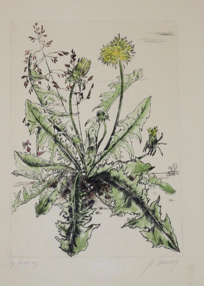 Große Abbildung Nr.4: 143-1645 Egk,W.: (Kokoschka)