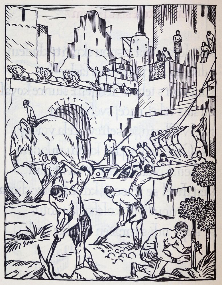 Große Abbildung Nr.4: 143-1646 Domorazek,K.: (Konupek)