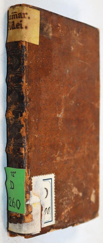 Große Abbildung Nr.2: 143-166 Summarium: (Heidelberg)