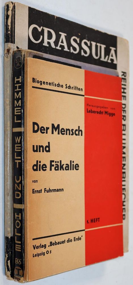 Große Abbildung Nr.5: 143-1699 Fuhrmann,E.: (Photographie)