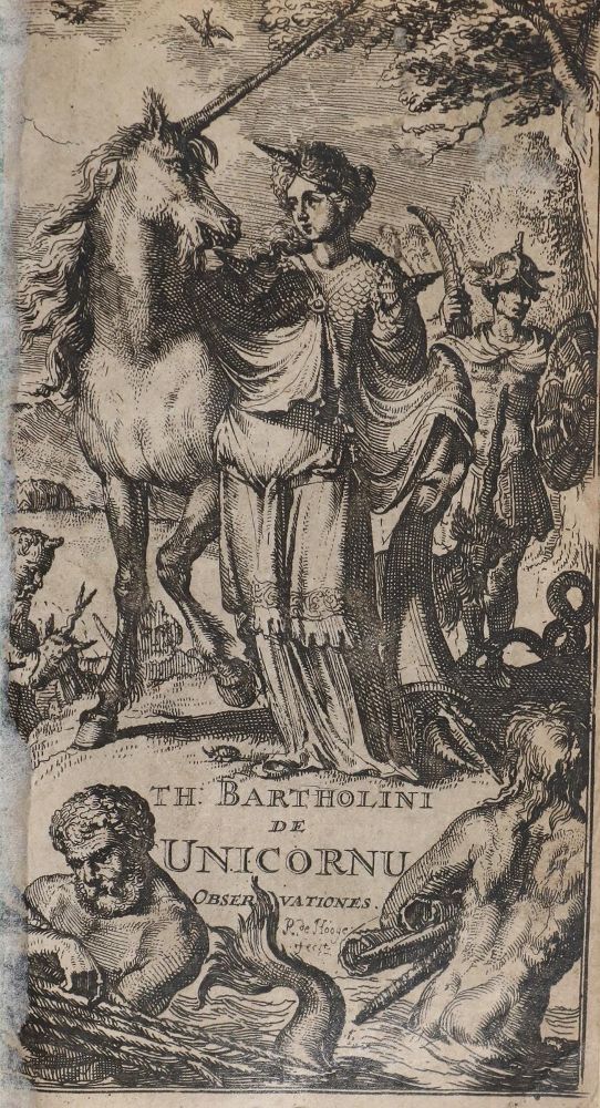 Große Abbildung Nr.1: 143-17 Bartholin,T.: (Alte Drucke, Handschriften und Theologie)