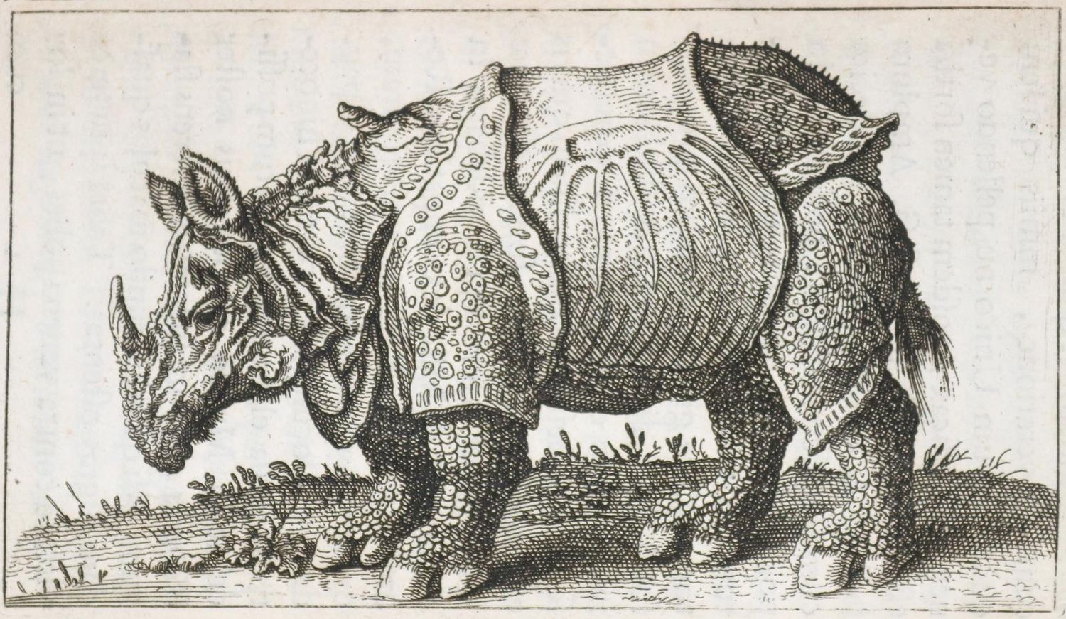 Große Abbildung Nr.3: 143-17 Bartholin,T.: (Alte Drucke, Handschriften und Theologie)