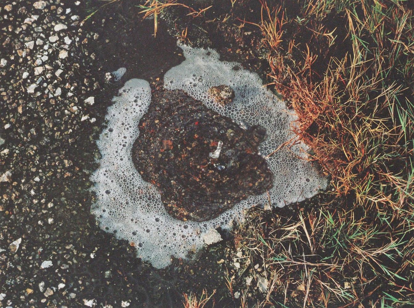 Große Abbildung Nr.4: 143-1700 Horn,R.: (Photographie)