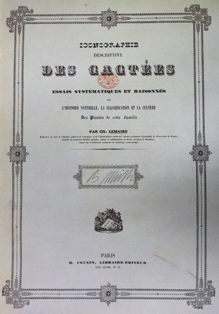 Große Abbildung Nr.1: 143-1781 Candolle,A.P.de.: (Botanik)