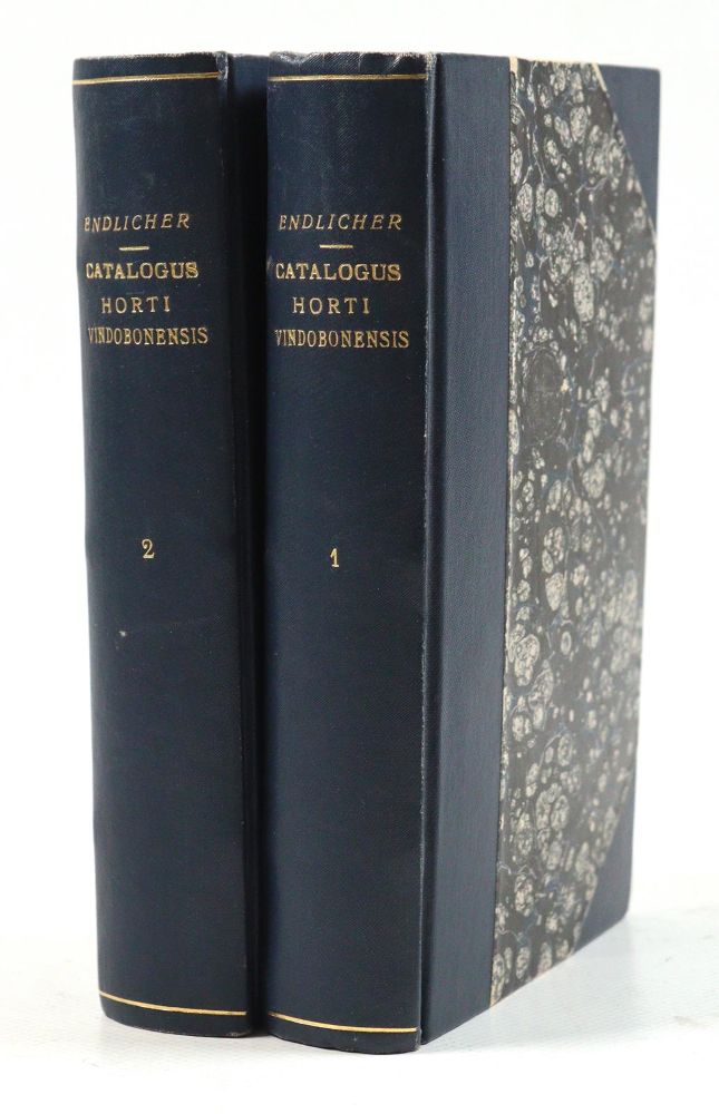 Große Abbildung Nr.2: 143-1784 Endlicher,S.: (Botanik)
