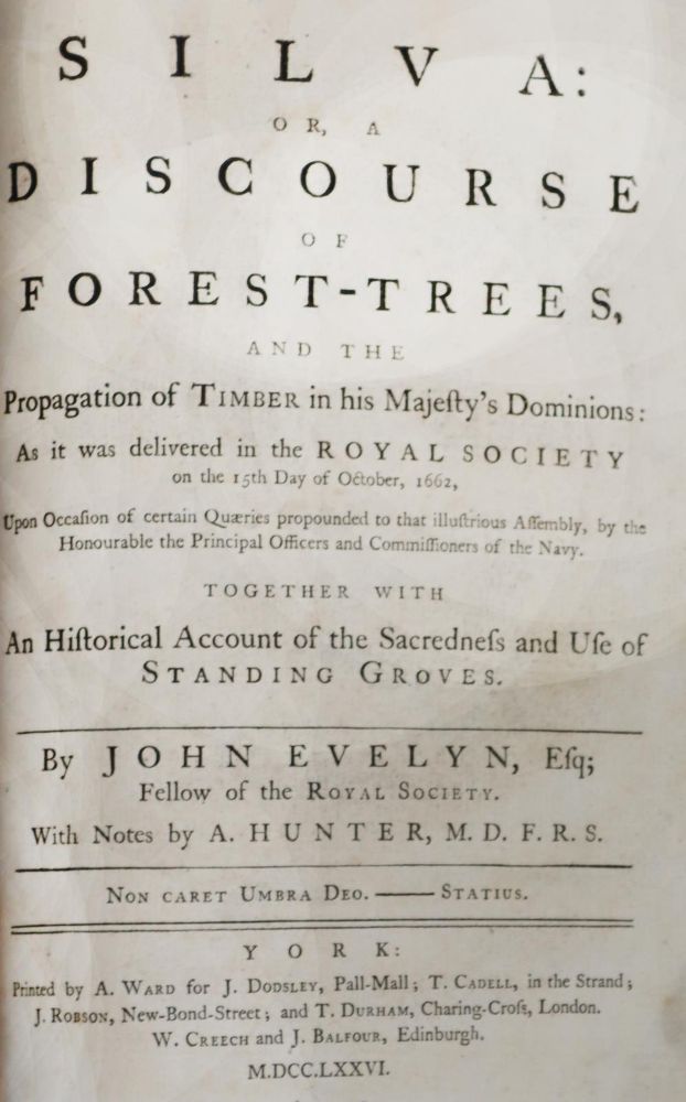 Große Abbildung Nr.2: 143-1785 Evelyn,J.: (Botanik)