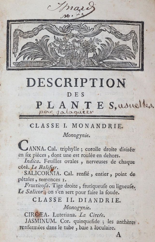 Große Abbildung Nr.1: 143-1787 Galaguier.: (Botanik)