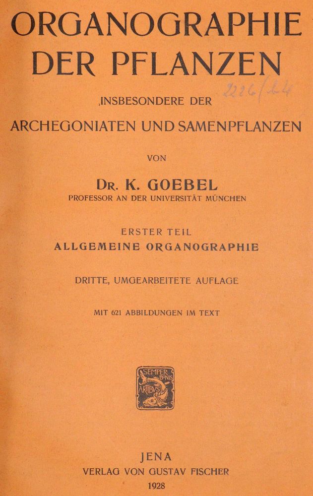 Große Abbildung Nr.1: 143-1788 Goebel,K.: (Botanik)