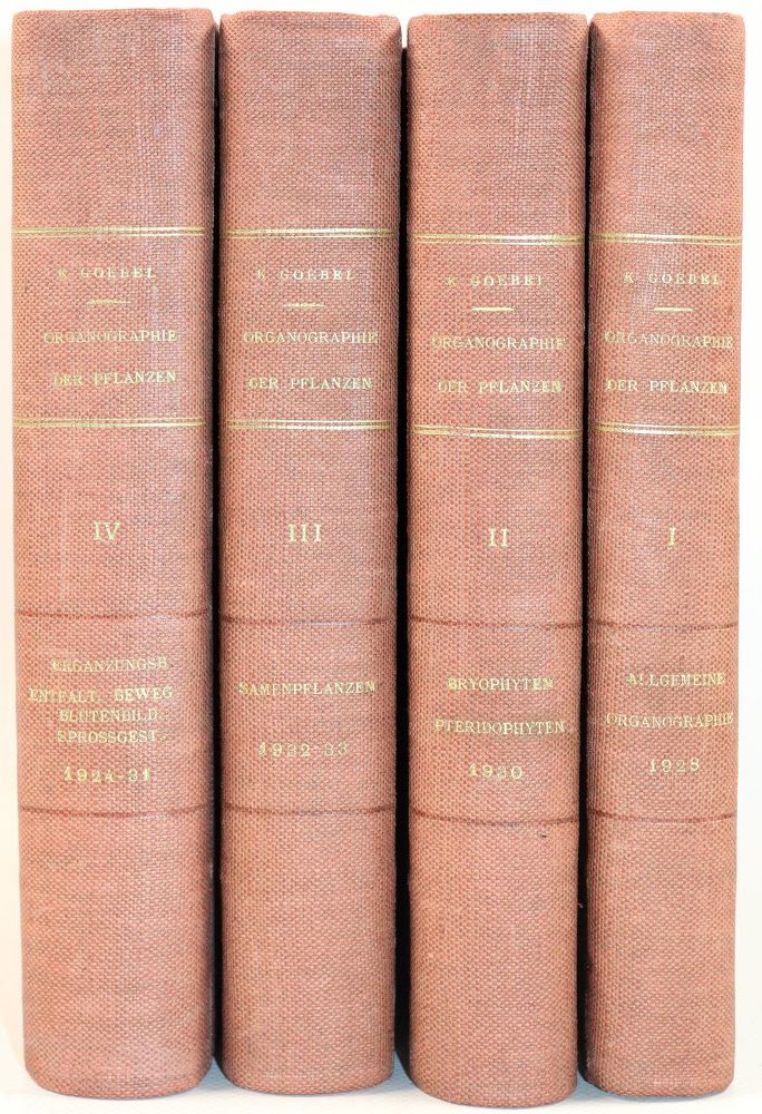 Große Abbildung Nr.4: 143-1788 Goebel,K.: (Botanik)