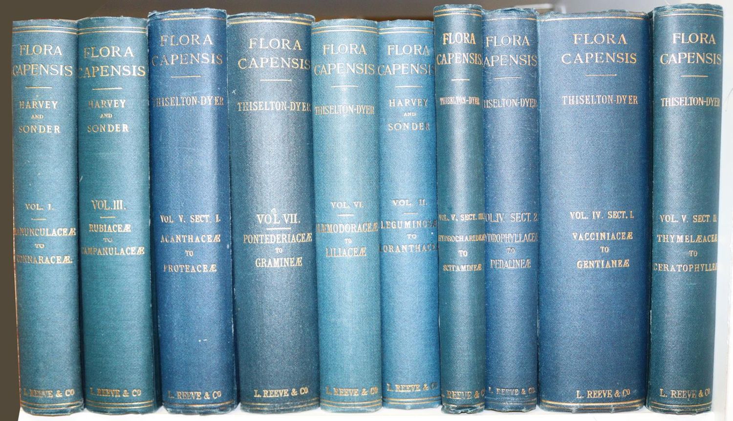 Große Abbildung Nr.2: 143-1789 Harvey,W. u.a.: (Botanik)