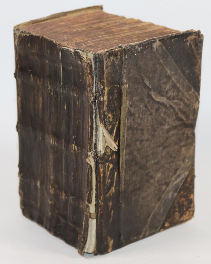 Große Abbildung Nr.4: 143-1791 Müller,S.: (Botanik, Kräuterbücher)